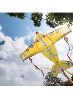 Djeco szélsárkány - Óriás repülő - Maxi Plane